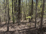 Photo of    Lot 28 Deer Hollow Trail 